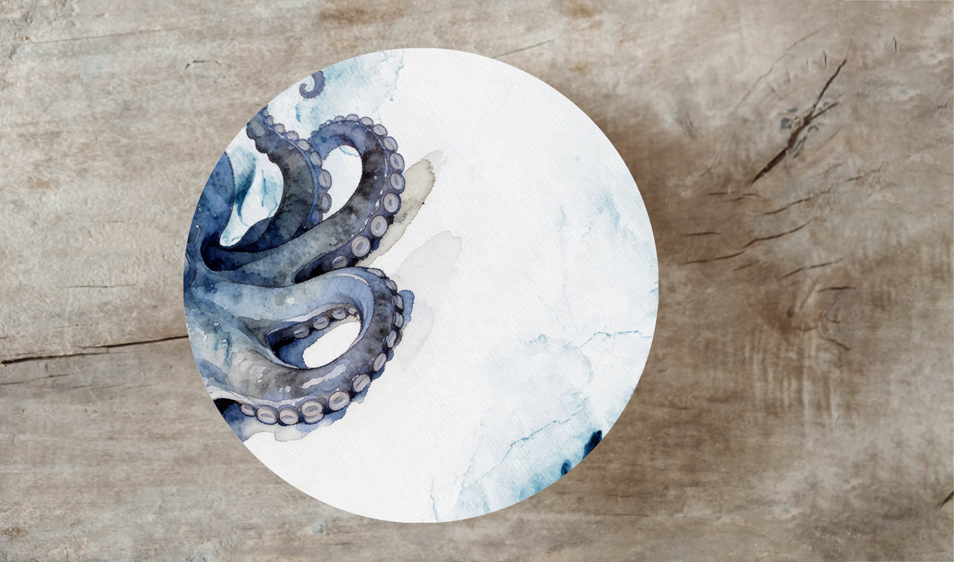 Pulpo